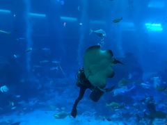 -新加坡海洋生态馆