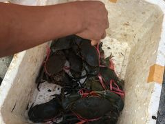 -黄沙水产交易市场
