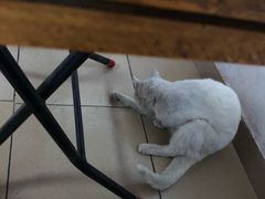 -甜甜屋(解放中路店)