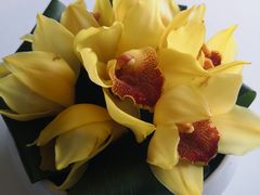 -世博源公馆·本帮融合菜·主题包厢·江景餐厅