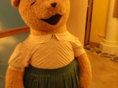 -济州岛泰迪熊博物馆