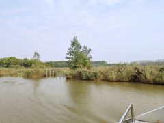-微山湖红荷湿地景区