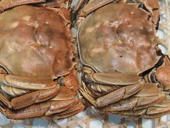 -五稻厨房粤西菜(新闻店)