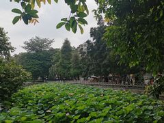 -荔湾湖公园