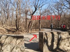 -大觉寺-停车场