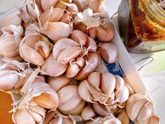 -胖子老牌优质水煎包