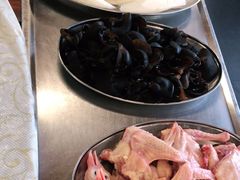 药膳乳鸽-百利鸽王(紫薇路店)