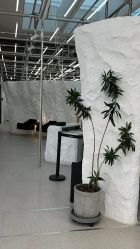 -BOF HAIR BY HONTO