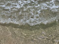 -西涌国际滨海旅游区