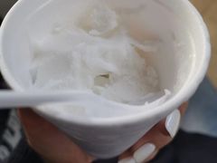 -洪馨椰子