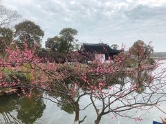 -上海海湾国家森林公园