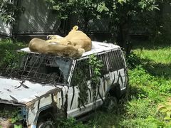 -西安秦岭野生动物园