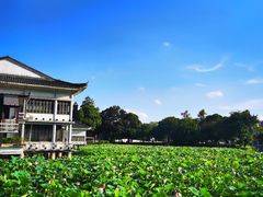 -荔湾湖公园