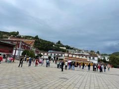-塔尔寺-菩提树