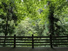 -青城山
