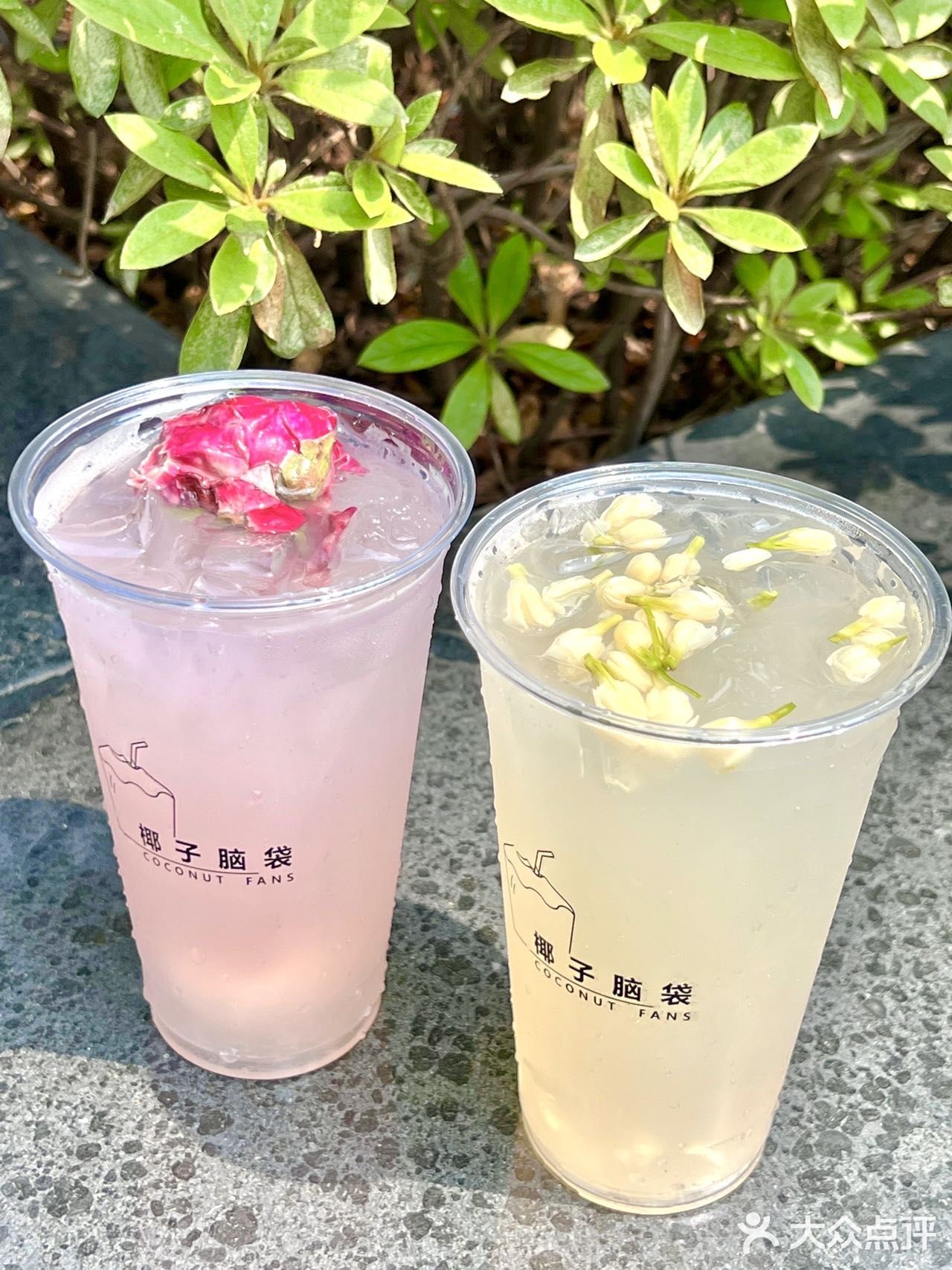 南京首家椰子专门店🥥一秒穿越三亚海边🌴