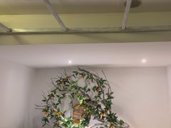 -麦子MaiMassage(打浦桥店)