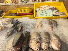 -大树下海鲜饭店