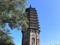 -高尔山公园