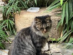 -天朝元辅-徐州民俗博物馆