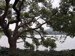 -西湖游船