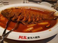 -阿五黄河大鲤鱼(英协路店)