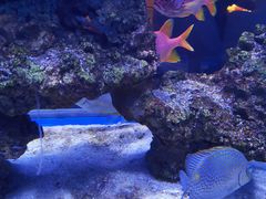 -上和臻品中国菜(花园街店)