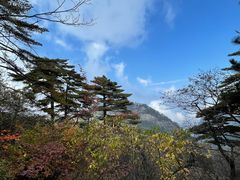 -黄山风景区