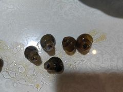 -呼吸森林·生态农庄农家乐私房菜