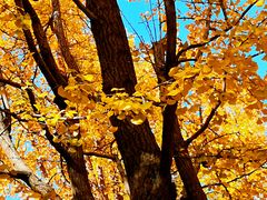 -苏州河梦清园环保主题公园