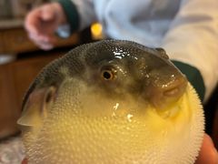 -永安鱼庄·镇江菜(丁卯店)