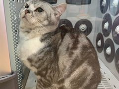 -芭比堂爱心动物医院·心脏科·犬猫内科(越城可乐分院)