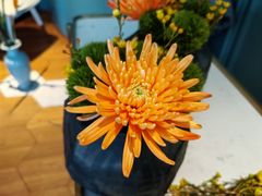 -南堂馆·新川菜(春熙路店)