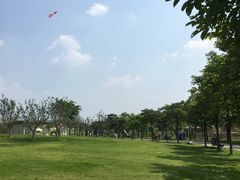 -天适樱花悠乐园