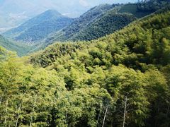 -莫干山风景区