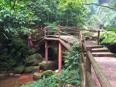 -赤水丹霞旅游区·佛光岩