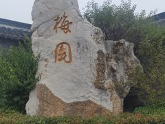 -梅园