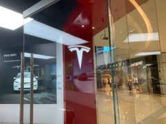 -TESLA 特斯拉(郑州正弘城体验店)