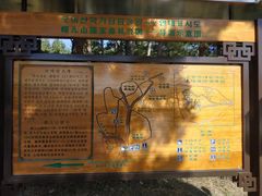 -帽儿山国家森林公园