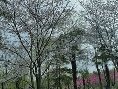 -堤角公园