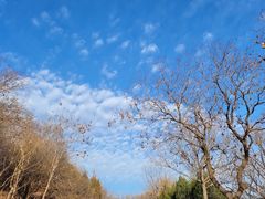 -北京西山国家森林公园