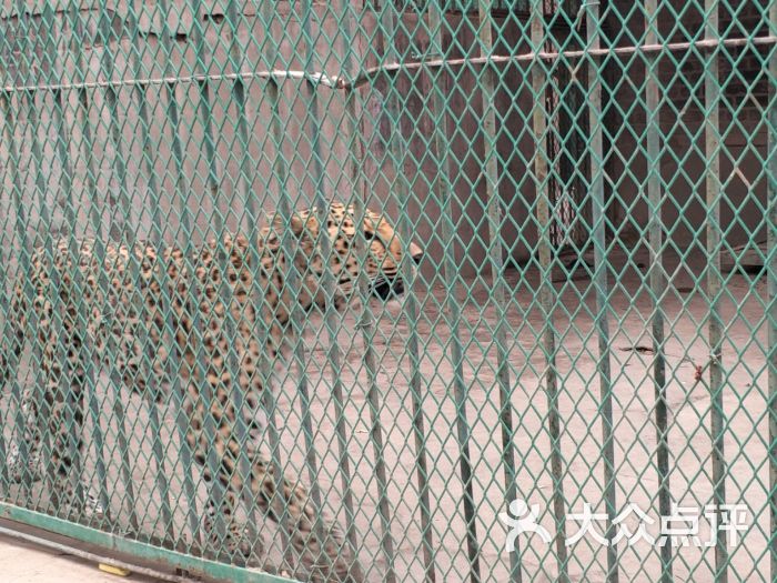 蘭州市動物園圖片 - 第20張