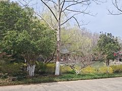 -南山风景名胜区