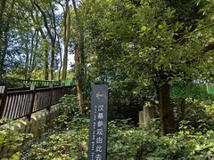 -马王堆汉墓遗址