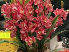 -宴周康·精致江浙菜(周浦店)