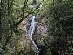 -旗山国家森林公园