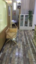 -星豆豆儿童摄影(南郊太白南路店)