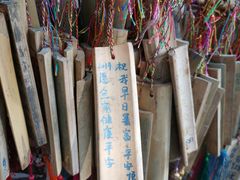 -黄龙溪古镇