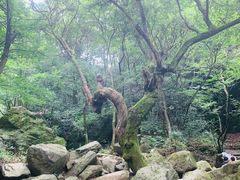 -浙北大峡谷