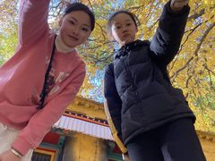 -罗布林卡